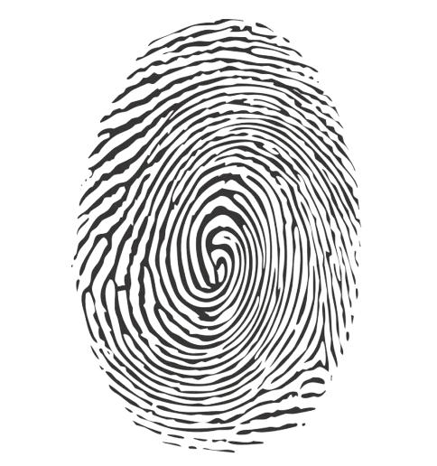 Forensic evidence linking the suspect to two crimes 14 years apart