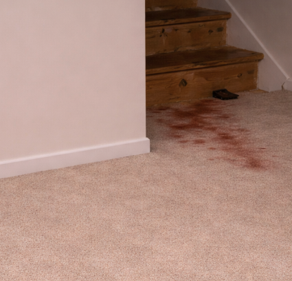 Crime scene investigation at the family home in Illinois