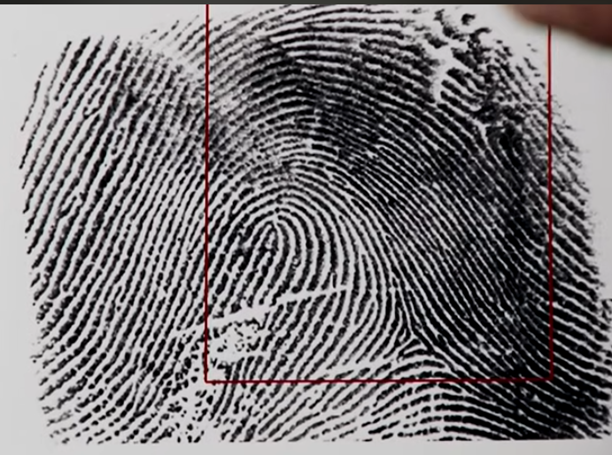 Forensic evidence including footprints and fingerprints at the scene