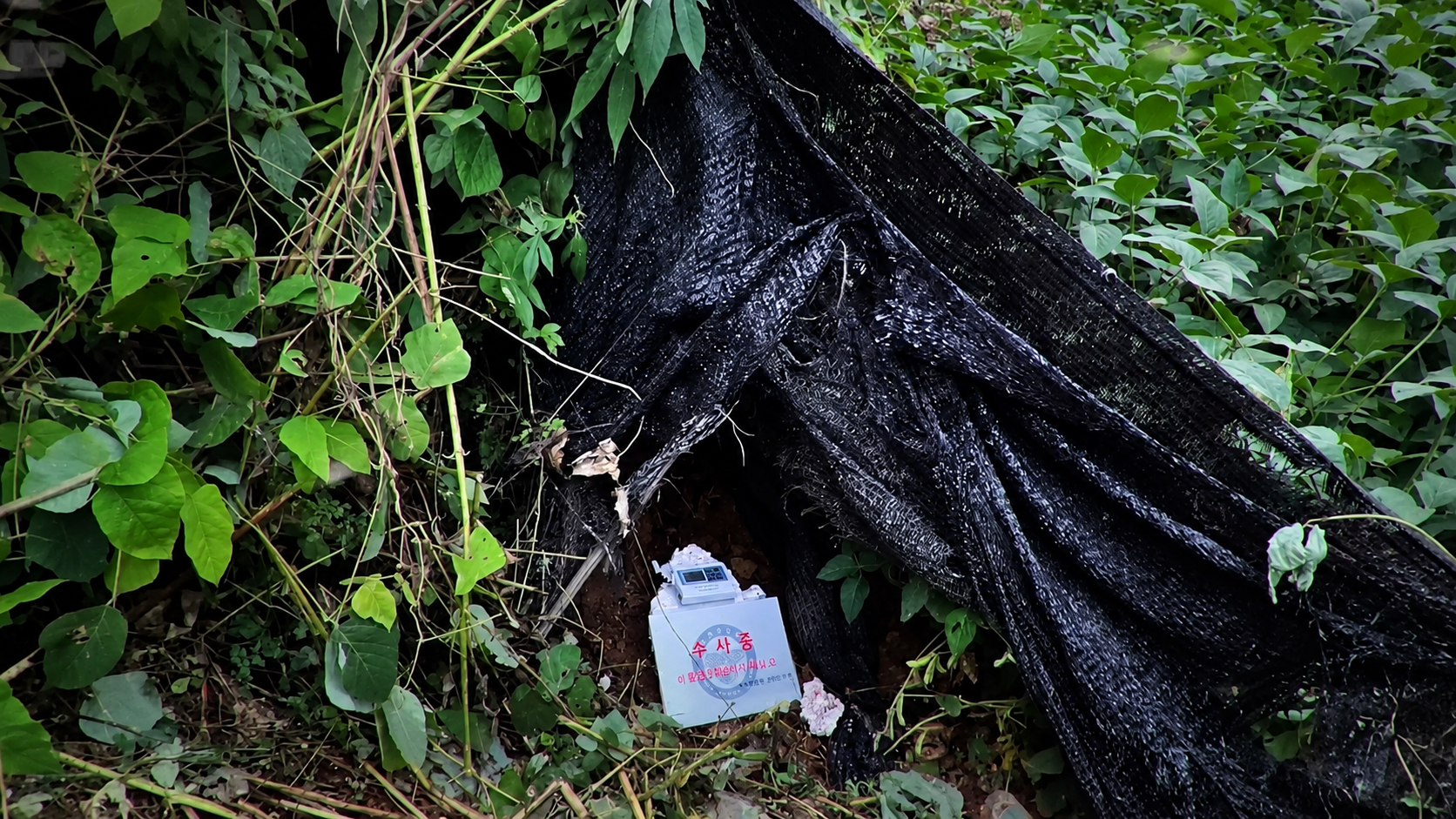 The mountain area near Muju where Ji-a's body was found